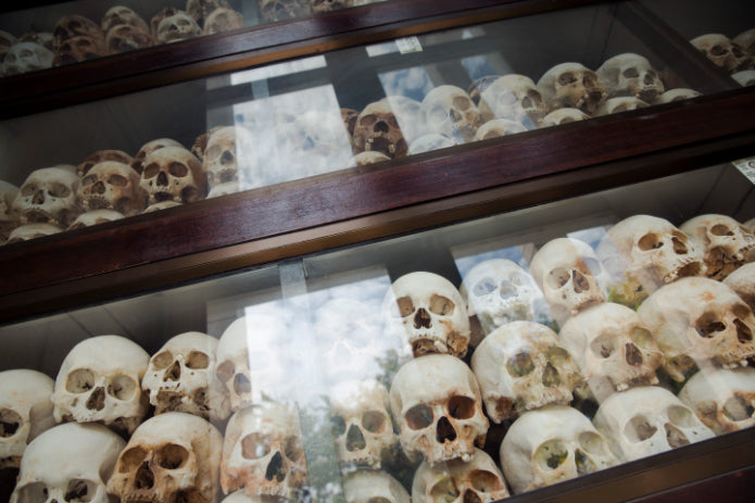 Glass display of skulls at a memorial site, reflecting Cambodia’s history on the Angkor to Islands 16-Day Tour - Khmer Culture to Thai Coasts.