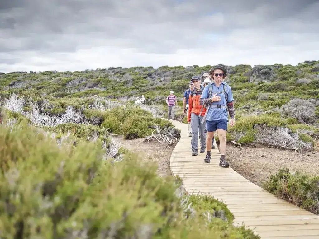 Hikers on a wooden path through a hilly landscape with greenery.
