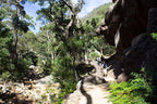 Group trek through lush landscapes on the Central Grampians Peaks 5-day guided expedition adventure.