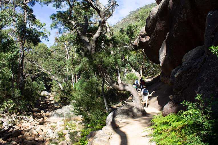 Group trek through lush landscapes on the Central Grampians Peaks 5-day guided expedition adventure.