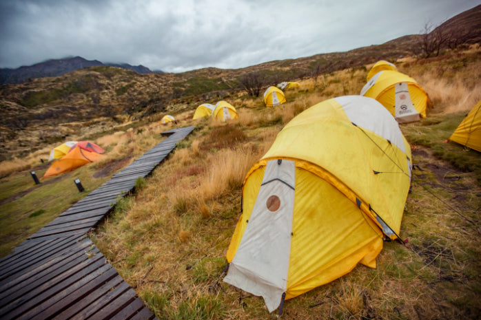 Yellow tents set up in a grassy field with mountains in the background