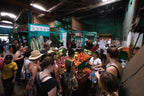 Colombia Uncovered | Coffee, Coasts & The Lost City — 14 or 22 Days