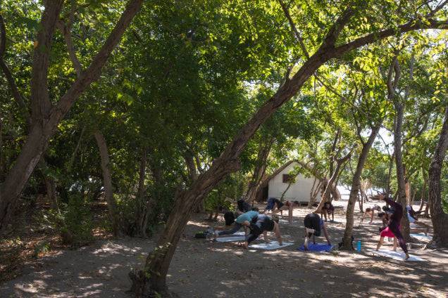 Colombia Uncovered | Coffee, Coasts & The Lost City — 14 or 22 Days