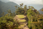 Colombia Uncovered | Coffee, Coasts & The Lost City — 14 or 22 Days