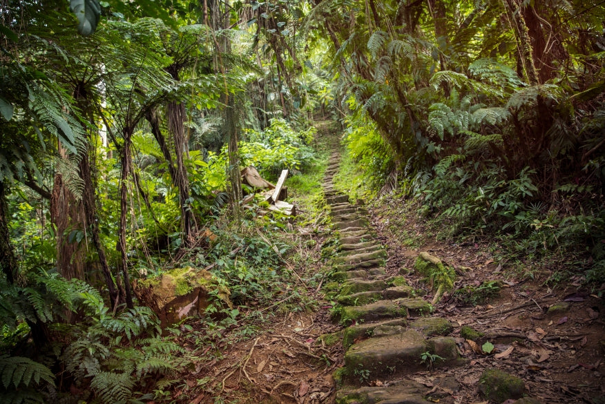 Colombia Uncovered | Coffee, Coasts & The Lost City — 14 or 22 Days