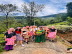 Icons of Sri Lanka | 12-Days of Spice Gardens, Emerald Hills & Tropic Coasts