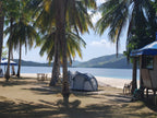 Icons of the Philippines | 10/14 or 23 Epic Days of Corals, Canopy’s &amp; Chocolate Covered Hills