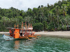 Icons of the Philippines | 10/14 or 23 Epic Days of Corals, Canopy’s &amp; Chocolate Covered Hills