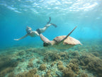 Icons of Bali | 12 Days of Surf, Temples & Turtles