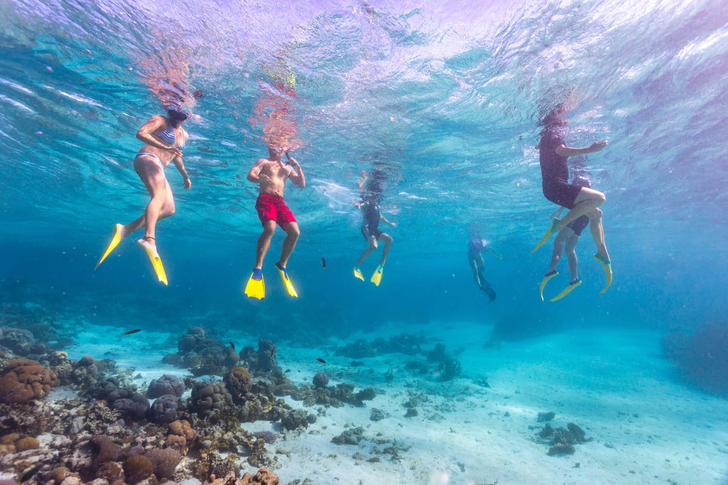 Group snorkeling at Ningaloo Reef during West Coast Road Trip from Perth to Exmouth. Marine adventure in clear waters of Western Australia.