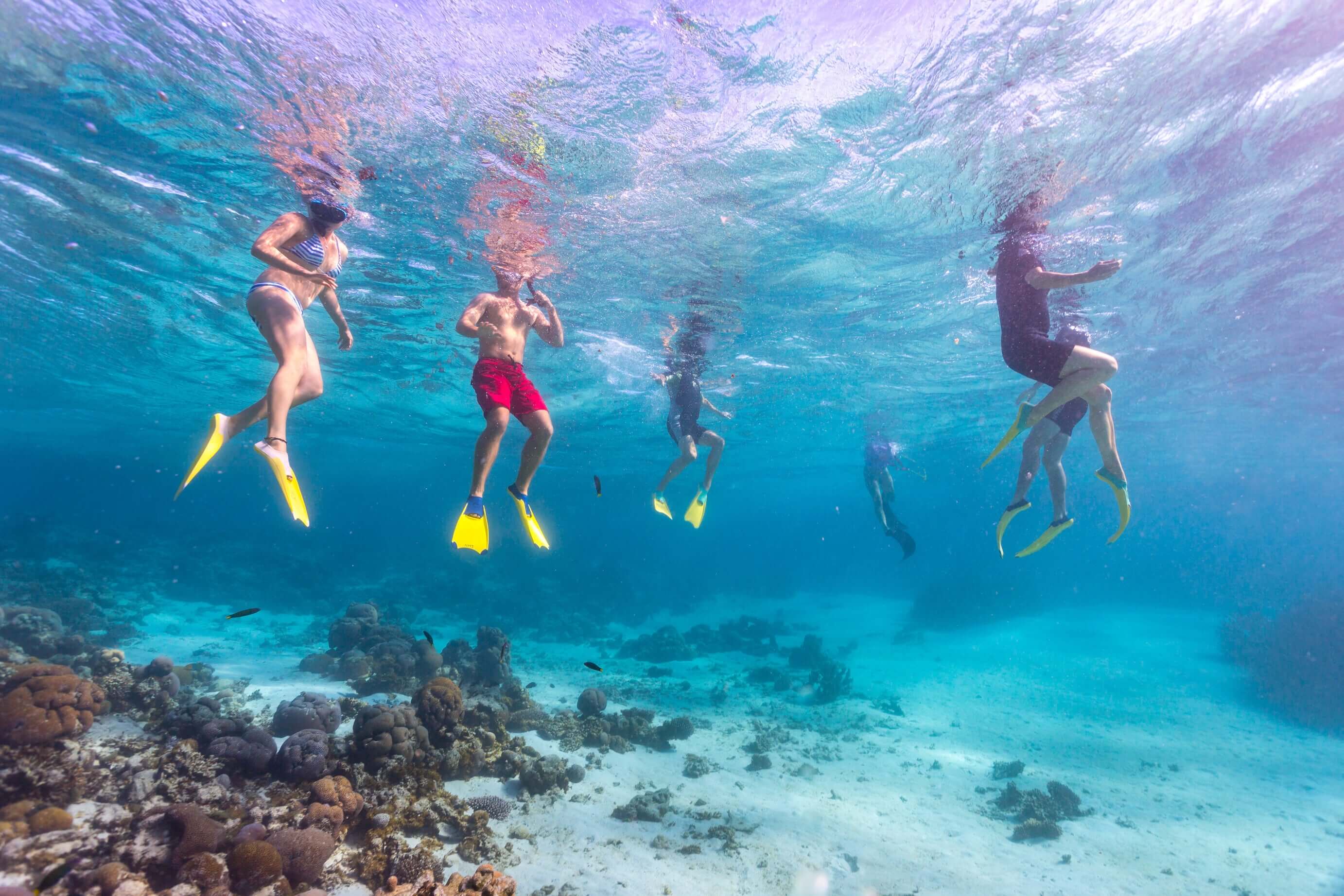 Group snorkeling at Ningaloo Reef during West Coast Road Trip from Perth to Exmouth. Marine adventure in clear waters of Western Australia.