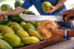 Icons of Central America | Caribbean Blues to Pacific Views | Mexico City → Antigua / San José (29/45 or 62 Days)