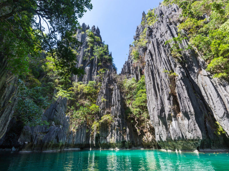 Icons of the Philippines | 10/14 or 23 Epic Days of Corals, Canopy’s &amp; Chocolate Covered Hills