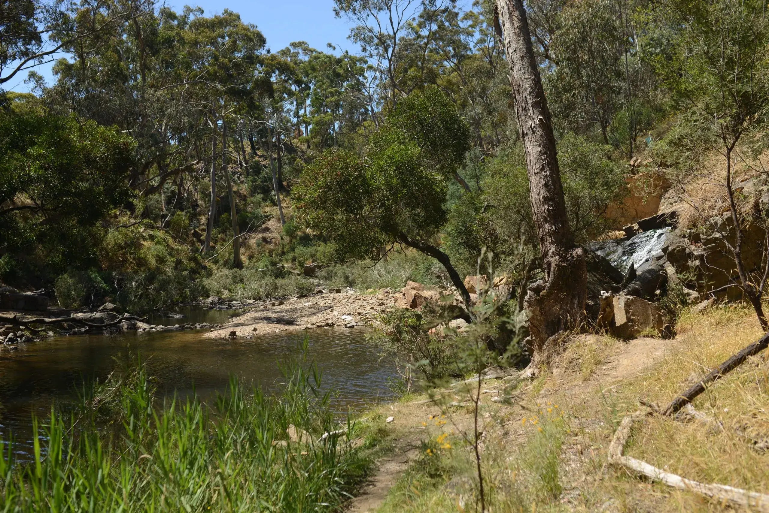 Daylesford & Goldfields Track 4-Day Walking Tour | Spa, Trails & Heritage Towns