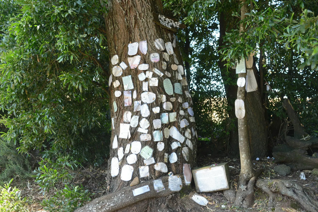 Daylesford & Goldfields Track 4-Day Walking Tour | Spa, Trails & Heritage Towns