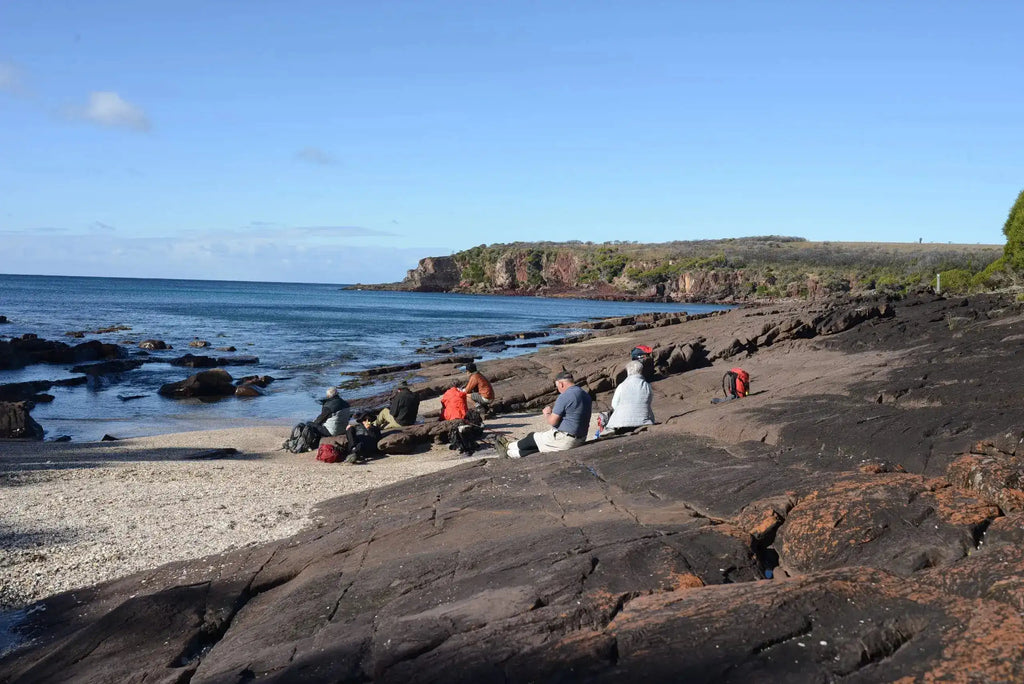 Light to Light Walk – NSW Sapphire Coast | 4-Day Guided Trek