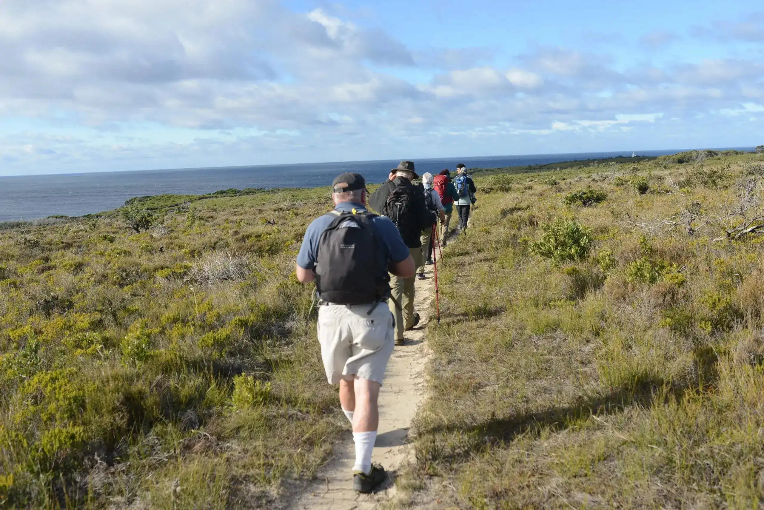Group of people hiking on a trail with ocean view