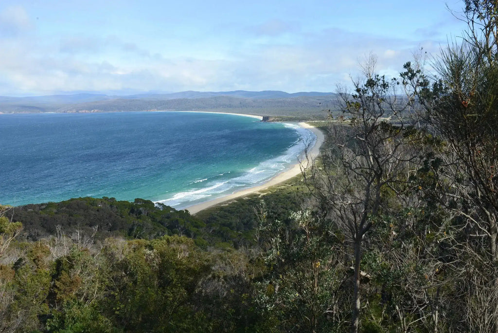 Light to Light Walk – NSW Sapphire Coast | 4-Day Guided Trek