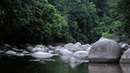 Mossman Gorge boulders and rainforest stream in Daintree on East Coast Adventure 14/16-Day Small-Group Tour. Serene nature exploration.