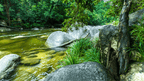 Rainforest river and granite boulders in Daintree on East Coast Adventure 14/16-Day Small-Group Tour. Scenic tropical ecosystem.