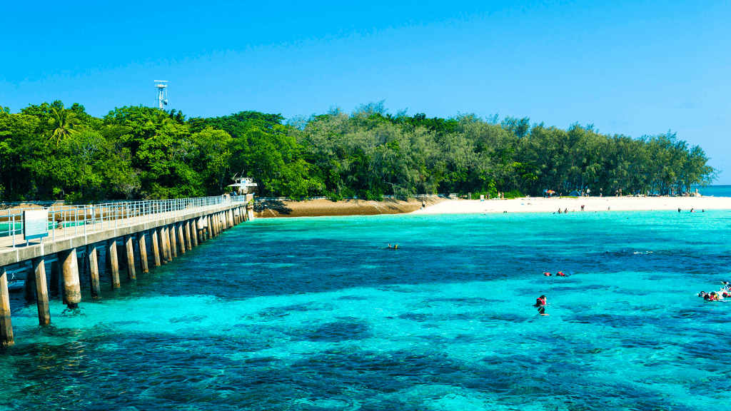 Snorkelers near coral reef at Green Island on East Coast Adventure 14/16-Day Small-Group Tour. Great Barrier Reef marine experience.