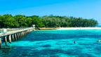 Snorkelers near coral reef at Green Island on East Coast Adventure 14/16-Day Small-Group Tour. Great Barrier Reef marine experience.