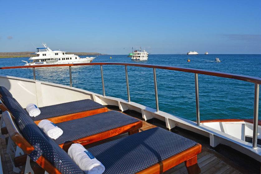 Galápagos Small Ship Voyage | 8/10 Days East to Western Islands