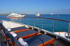 Galápagos Small Ship Voyage | 8/10 Days East to Western Islands