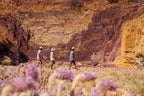 Uluru & Kings Canyon 4-Day 4WD Safari | Depart Alice Springs or Uluru