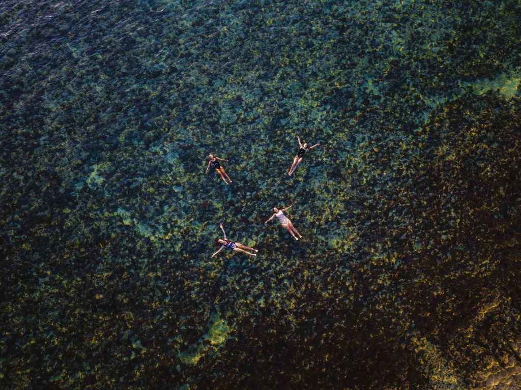 Group of snorkelers floating above coral reef on the Ningaloo Safari 3-Day Tour. Ideal for marine life observation and reef tours.
