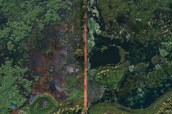 Kakadu Rock Art & Crocodile Day Tour from Darwin