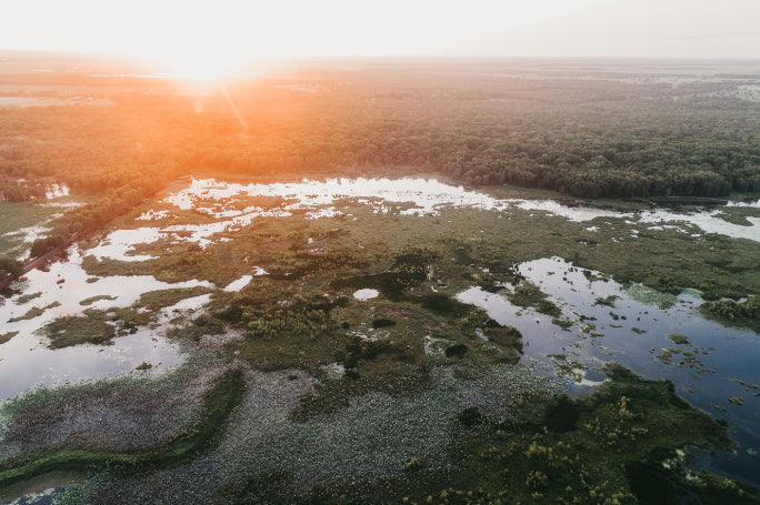 Kakadu Rock Art & Crocodile Day Tour from Darwin