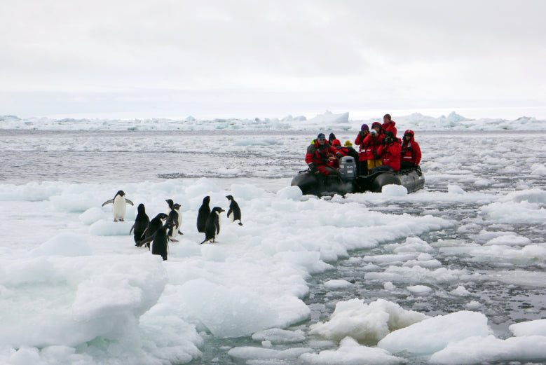 Edge of the Earth: Antarctica by Expedition Ship | 11-Days Ushuaia Roundtrip