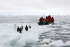 Edge of the Earth: Antarctica by Expedition Ship | 11-Days Ushuaia Roundtrip