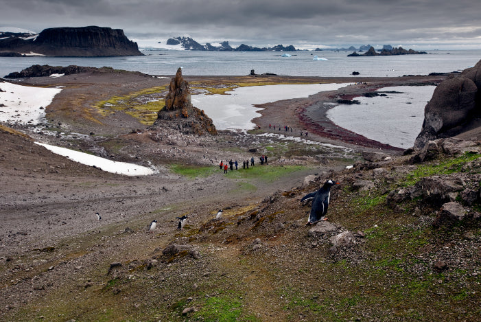 Edge of the Earth: Antarctica by Expedition Ship | 11-Days Ushuaia Roundtrip