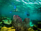 Icons of Central America | Caribbean Blues to Pacific Views | Mexico City → Antigua / San José (29/45 or 62 Days)