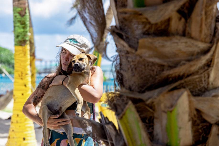 From Cenotes to Sloths: 32-Day Mexico-to-Costa Rica Traverse | Playa del Carmen → San José