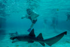 Rainforest Paths to Marine Gardens | 9-Days from Belize City → Caye Caulker