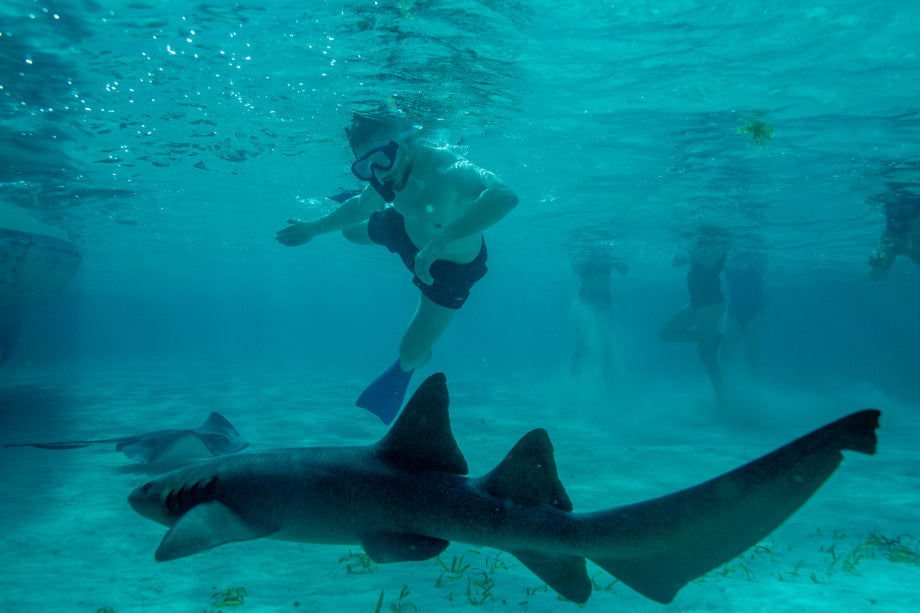 Rainforest Paths to Marine Gardens | 9-Days from Belize City → Caye Caulker