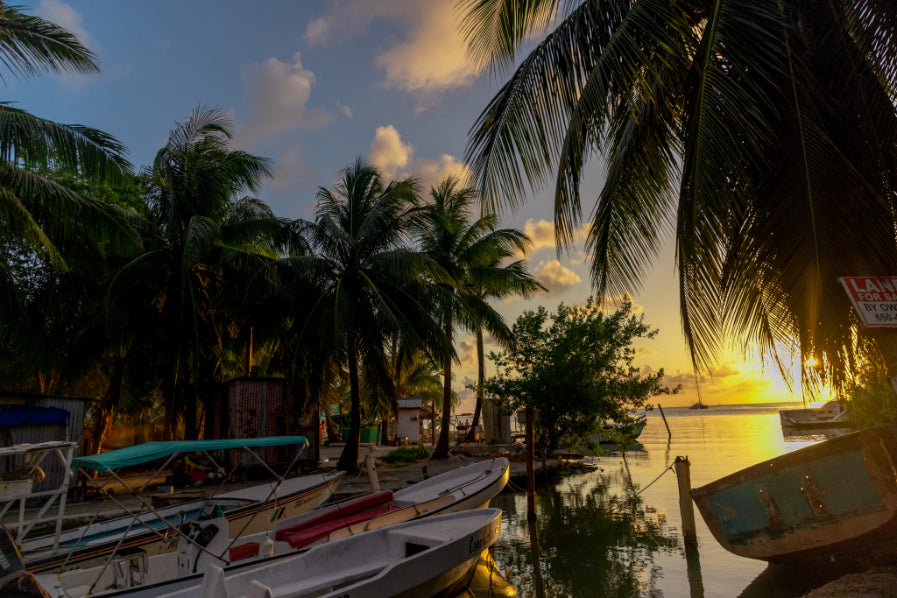 Rainforest Paths to Marine Gardens | 9-Days from Belize City → Caye Caulker