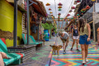 From Cenotes to Sloths: 32-Day Mexico-to-Costa Rica Traverse | Playa del Carmen → San José