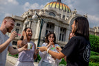 Colonial Streets to Coral Seas | 14 or 22-Day Mexican Mayan Adventure