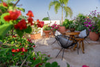 Colonial Streets to Coral Seas | 14 or 22-Day Mexican Mayan Adventure
