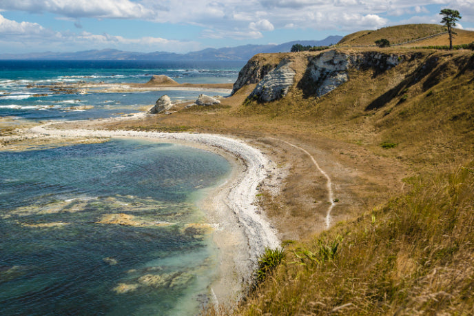 New Zealand Action Adventure | 8–22 Days of Gorges, Glaciers & Glowworms