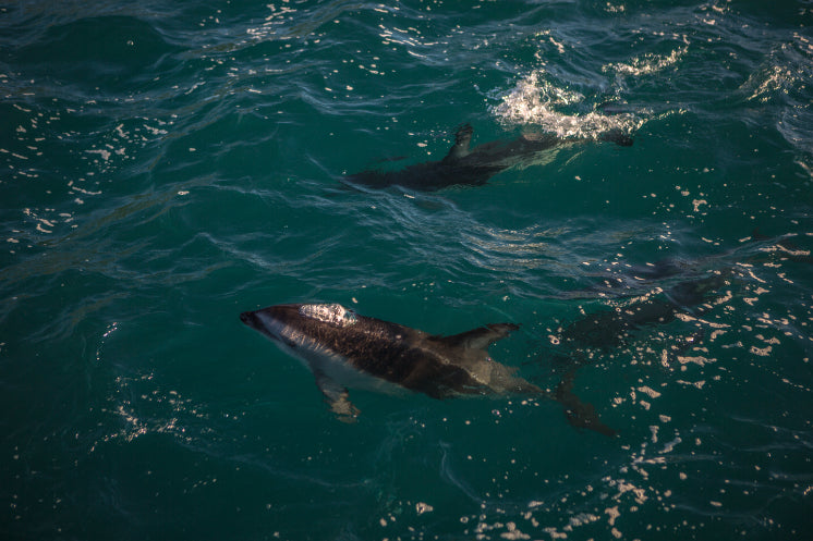 New Zealand Action Adventure | 8–22 Days of Gorges, Glaciers & Glowworms