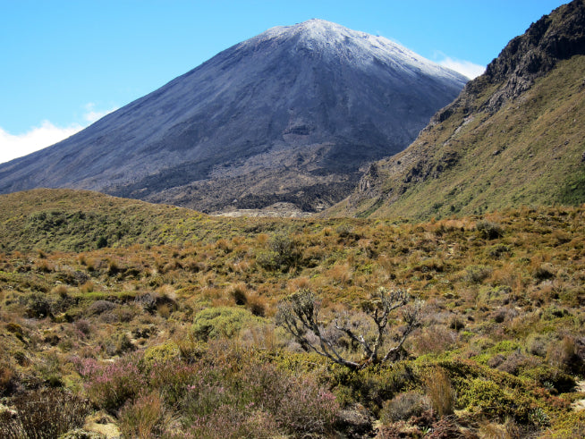 New Zealand Action Adventure | 8–22 Days of Gorges, Glaciers & Glowworms