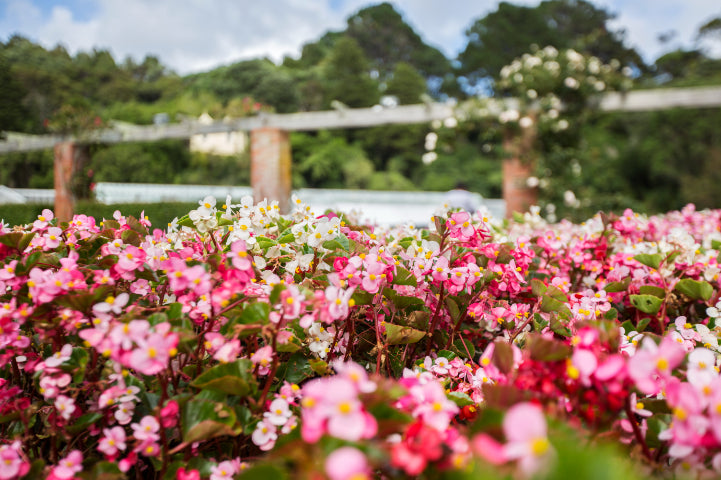 New Zealand Action Adventure | 8–22 Days of Gorges, Glaciers & Glowworms