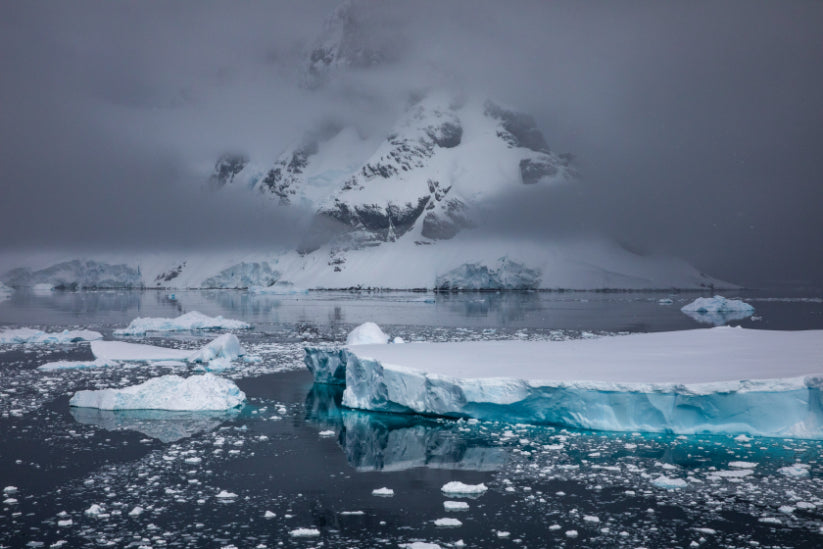 Edge of the Earth: Antarctica by Expedition Ship | 11-Days Ushuaia Roundtrip