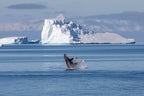 Edge of the Earth: Antarctica by Expedition Ship | 11-Days Ushuaia Roundtrip