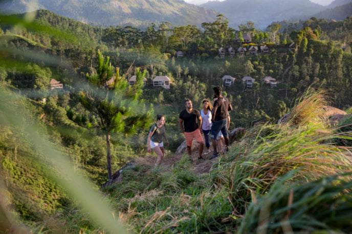 Group hiking through lush hills near tea plantations in Sri Lanka. Explore Sri Lanka - Land & Sea Tour Options includes nature and cultural treks.